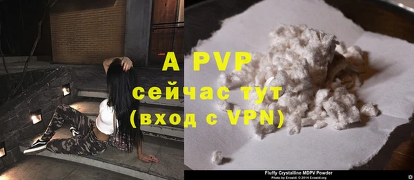 дживик Белокуриха
