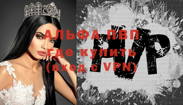 дживик Белокуриха