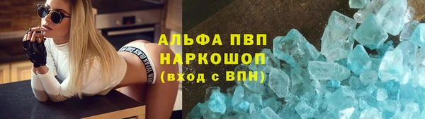 сатива Белоозёрский