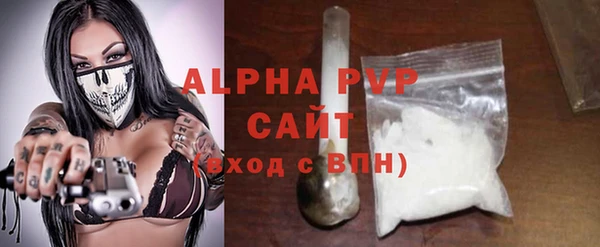 дживик Белокуриха