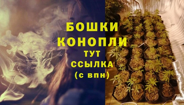 сатива Белоозёрский