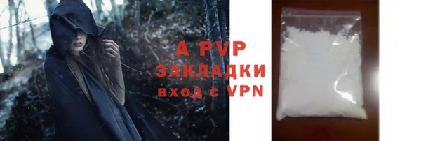 дживик Белокуриха