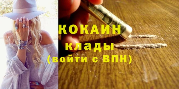дживик Белокуриха